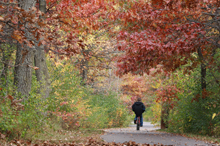 North Urban Regional Trail
