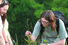 Private Nature Programs
