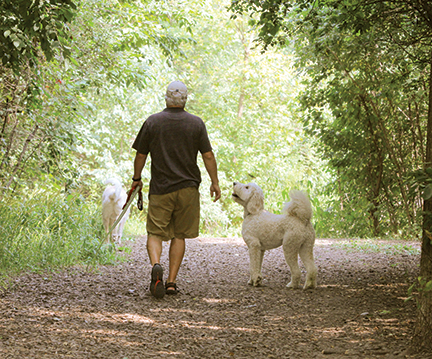 Man walking down a trail with two large dogs.