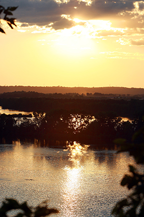 Sunset at Spring Lake Park Reserve.