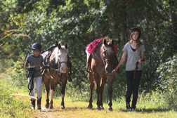 Horseback riders