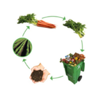 Graphic showing the cycle of food to food scraps to collection to compost to growing.