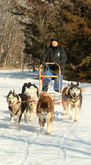 Dogsledding