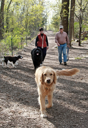 Dog Off-Leash