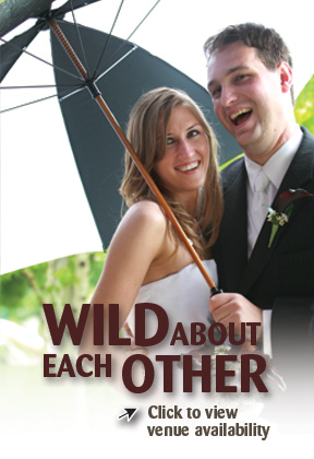 Wild about each other? Click to view venue availability