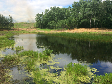 Buck Pond after scrape