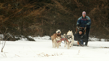 Woman dogsledding at Lake Byllesby.