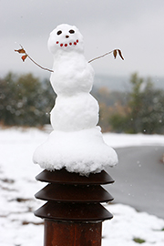 Snowman at Spring Lake Park Reserve.
