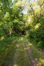 Whitetail Woods Trailhead