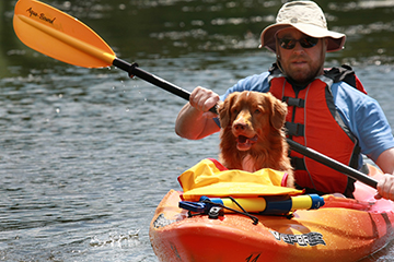 Man canoeing with his dog.